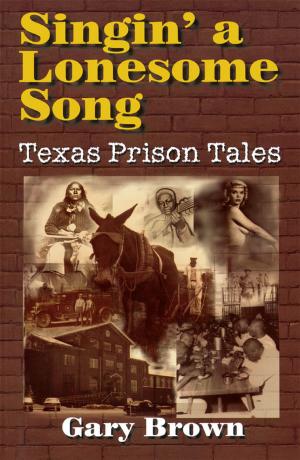 Cover of the book Singin' a Lonesome Song by Troy Nesbit