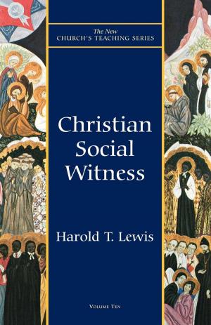 Book cover of Christian Social Witness