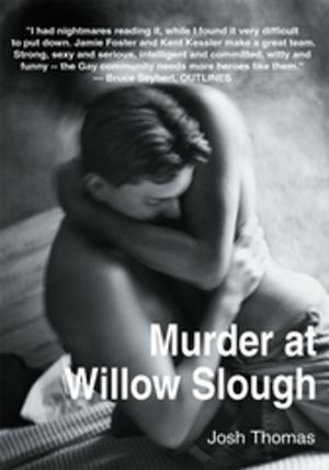 Cover of the book Murder at Willow Slough by Polly McBee Hutchison