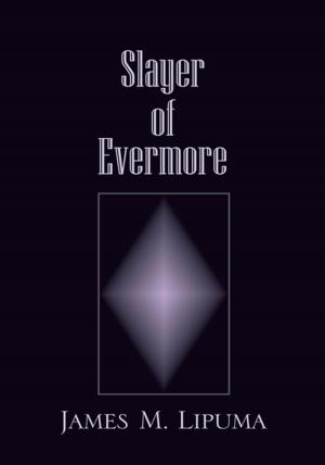 Cover of the book Slayer of Evermore by Zoe McAuley