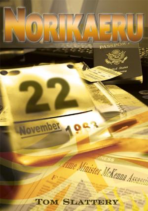 Cover of the book Norikaeru by Amanda M. Holt