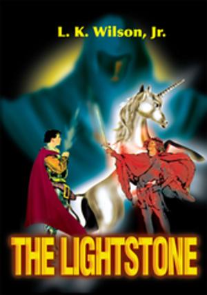 Cover of the book The Lightstone by Stan Weisleder