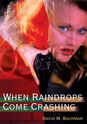 Cover of the book When Raindrops Come Crashing by Geoffrey E. Matesky