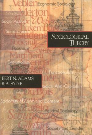 Cover of the book Sociological Theory by Freddy A. Paniagua