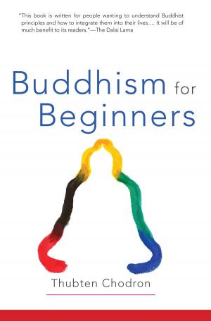Book cover of Buddhism for Beginners