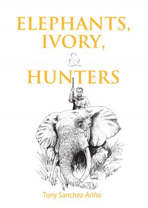 Cover of the book Elephants, Ivory, and Hunters by Jonathon Kibler, Walt Prothero