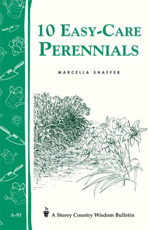 Book cover of 10 Easy-Care Perennials