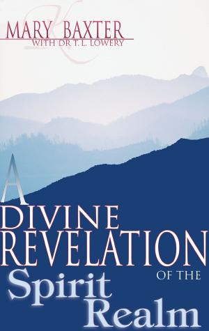 Cover of A Divine Revelation of the Spirit Realm
