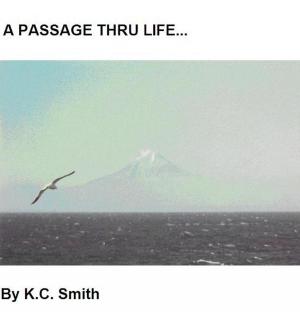 Cover of the book A PASSAGE THRU LIFE by Gabriel Locke