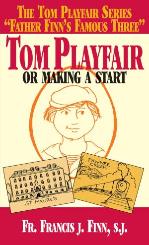 Book cover of Tom Playfair