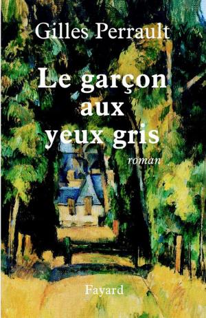 Cover of the book Le garçon aux yeux gris by Jean-Noël Jeanneney