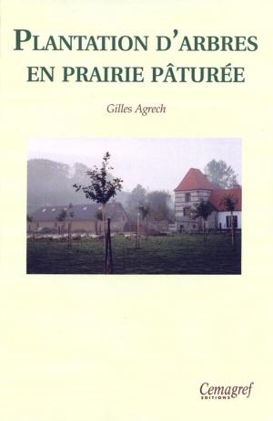 Cover of the book Plantation d'arbres en prairie pâturée by Daniel Terrasson, Yves Luginbühl