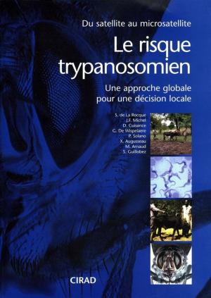 Book cover of Le risque trypanosomien