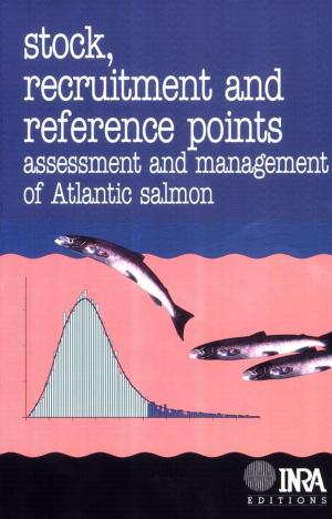 Cover of the book Stock, Recruitment and Reference Points by Bernadette Bensaude-Vincent