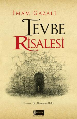 Cover of the book Tevbe Risalesi by Şükran Vahide