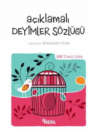 Cover of Açıklamalı Deyimler Sözlüğü - 100 Temel Eser