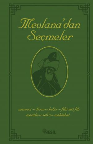 Cover of the book Mevlana'dan Seçmeler by Abdürreşid İbrahim