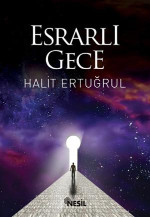Cover of the book Esrarlı Gece by Halit Çil