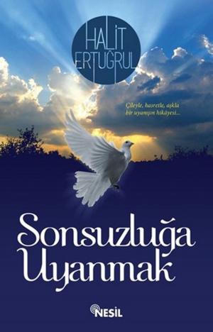 Book cover of Sonsuzluğa Uyanmak