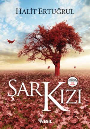 Cover of the book Şark Kızı by Cemil Tokpınar