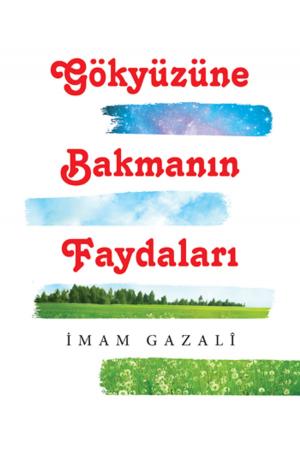 Cover of the book Gökyüzüne Bakmanın Faydaları by İhsan Atasoy