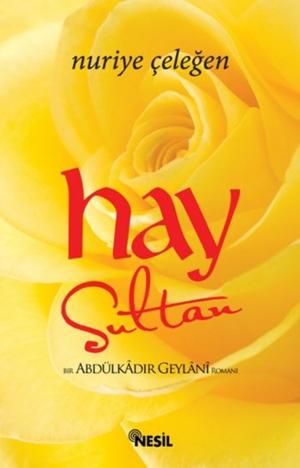 Cover of the book Hay Sultan - Bir Abdülkadir Geylani Romanı by Şadi Eren