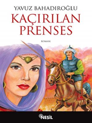 Book cover of Kaçırılan Prenses