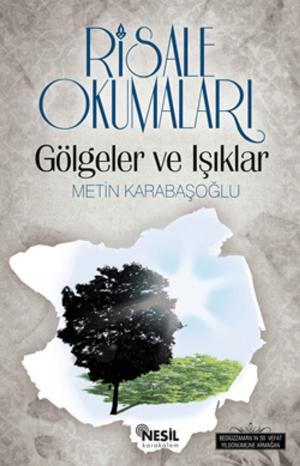 Book cover of Risale Okumaları - Gölgeler ve Işıklar
