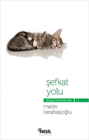Book cover of Şefkat Yolu