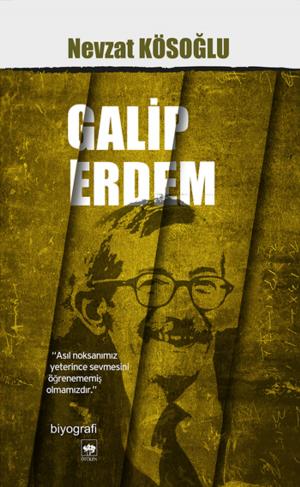 Cover of the book Galip Erdem by Tarık Buğra