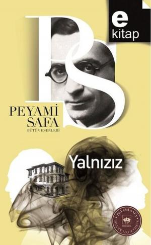 Book cover of Yalnızız