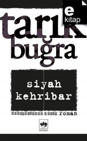 Cover of the book Siyah Kehribar by Panait İstrati