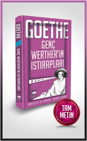 Cover of the book Genç Werther'in Istırapları by Panait İstrati