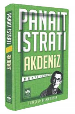 Cover of the book Akdeniz by Hüseyin Nihal Atsız