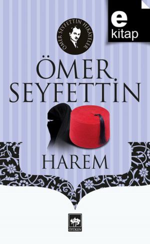 Cover of the book Harem by Yusuf Akçura