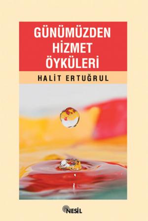 Cover of the book Günümüzden Hizmet Öyküleri by Halit Ertuğrul