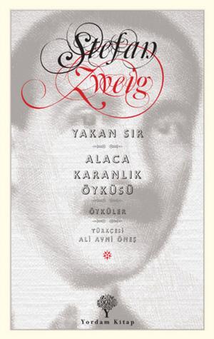 Cover of the book Yakan Sır - Alacakaranlık Öyküsü by Yılmaz Onay