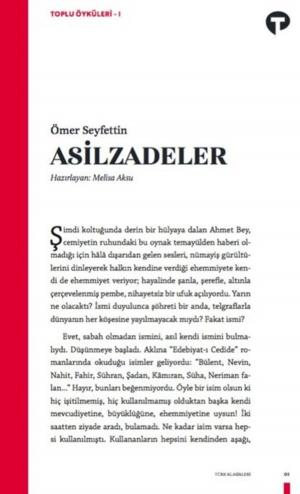 Cover of the book Asilzadeler by David Pietras