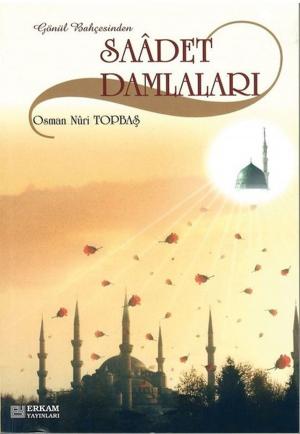Cover of the book Saadet Damlalaları by Prof. Dr. Mehmet Yaşar Kandemir