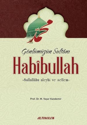 Cover of the book Habibullah by Ekrem Bektaş