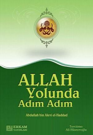 Cover of the book Allah Yolunda Adım Adım by Ömer Faruk Demireşik