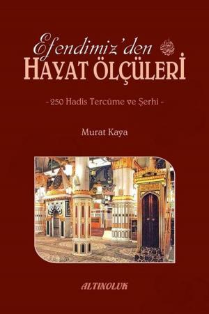 Cover of the book Efendimizden Hayat Ölçüleri by Adem Saraç