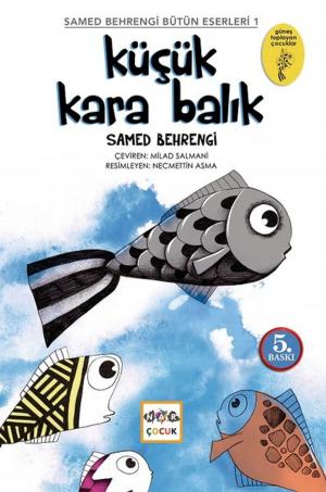 Cover of the book Küçük Kara Balık by Ahmet Efe