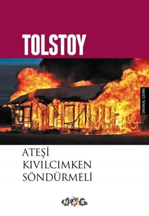 Cover of the book Ateşi Kıvılcımken Söndürmeli by Ahmet Efe
