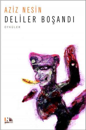 Cover of the book Deliler Boşandı by A. E. Lucky