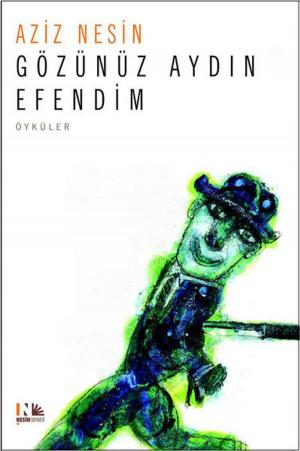 Cover of the book Gözünüz Aydın Efendim by Aziz Nesin