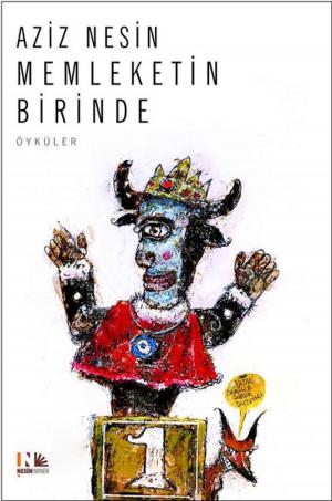 Cover of the book Memleketin Birinde by Amanda Linehan