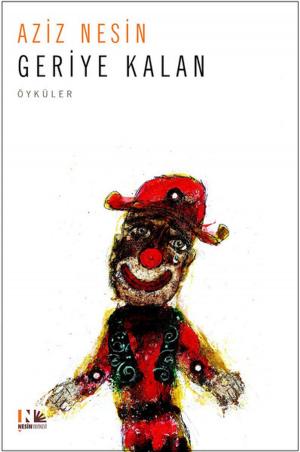 Cover of the book Geriye Kalan by Tim Sandlin