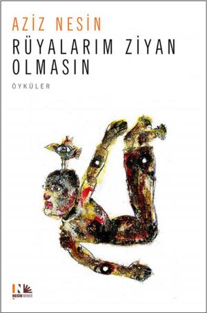 Cover of the book Rüyalarım Ziyan Olmasın by Aziz Nesin
