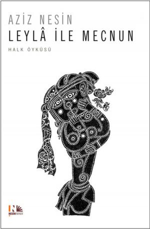 Book cover of Leyla İle Mecnun